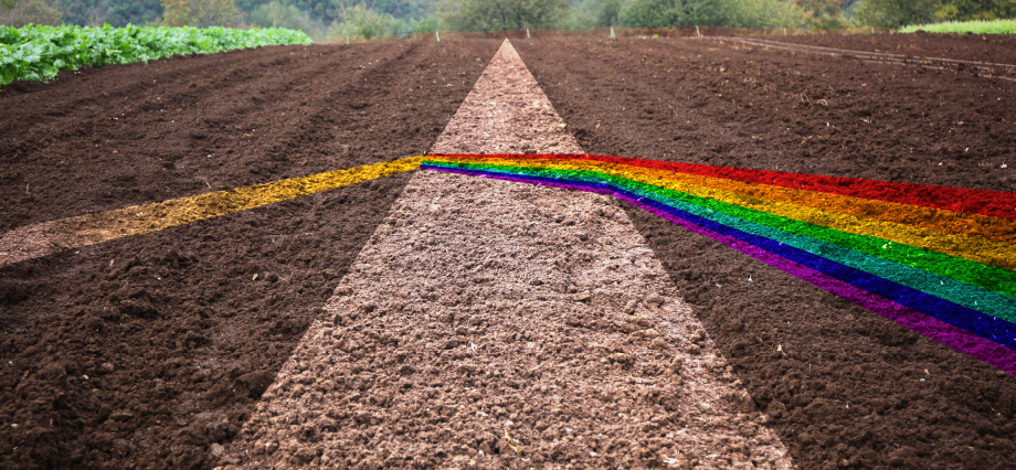 Field Sampling image 3